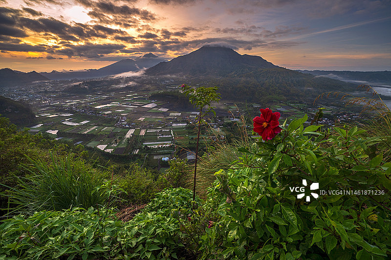平岗村日出图片素材