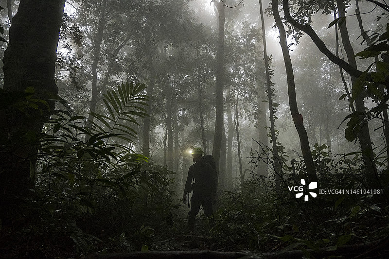 夜晚在热带雨林中行走的男人 - 摄影图片图片素材