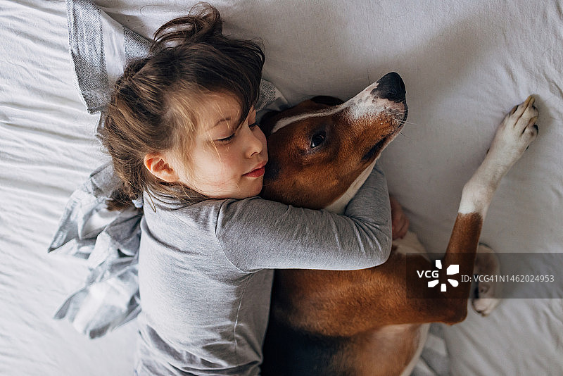 可爱的小女孩在卧室里抱着猎犬小憩图片素材