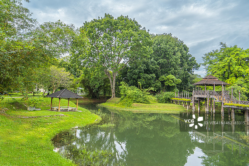 带湖泊的开放式公园图片素材