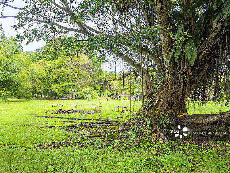 开放式公园图片素材