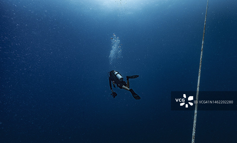 在泰国湾涛岛附近的潜水员图片素材