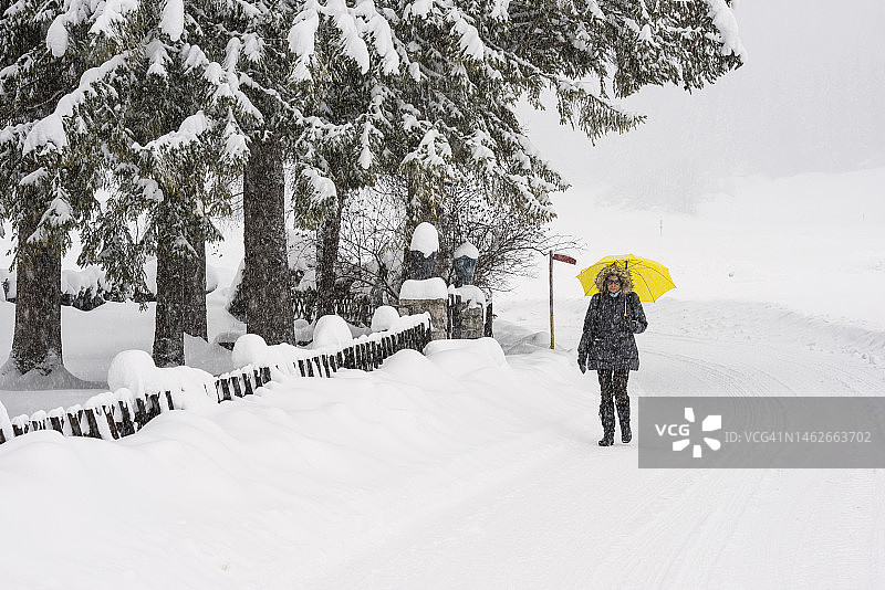 在白雪皑皑的冬季景观中徒步旅行图片素材