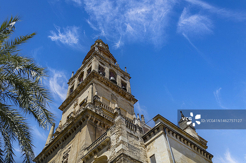 科尔多瓦主教座堂钟楼与棕榈树（西班牙安达卢西亚）图片素材