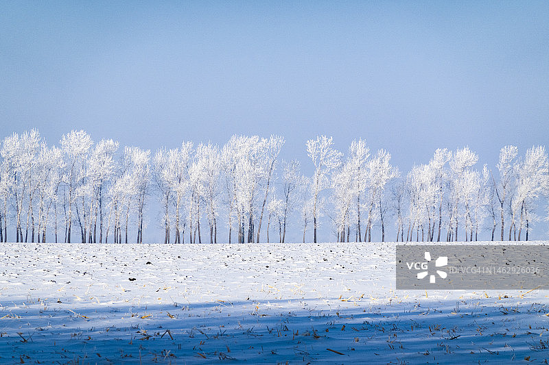 雾凇之路景色图片素材