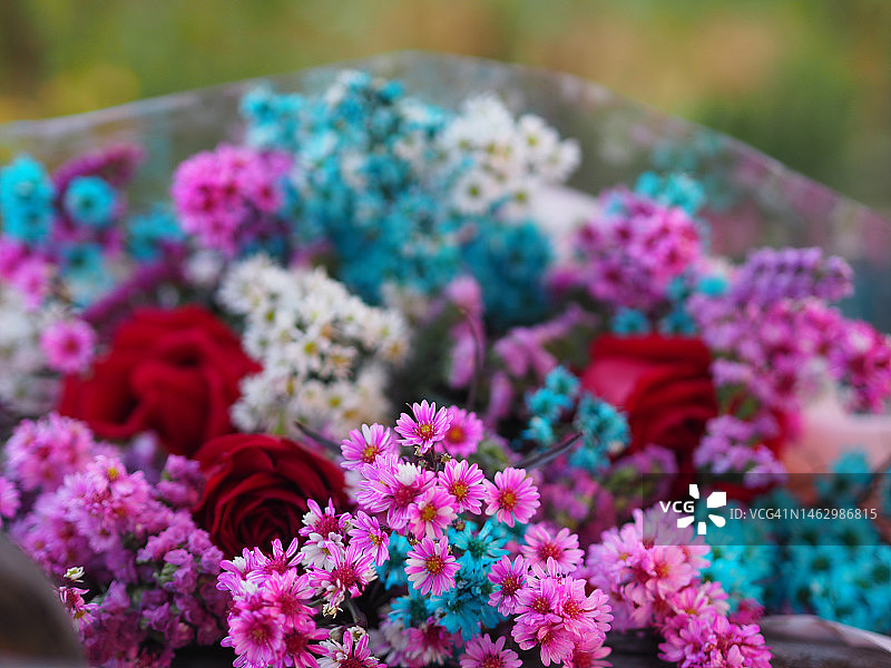 粉蓝色切割花漂亮​ 花束​图片素材