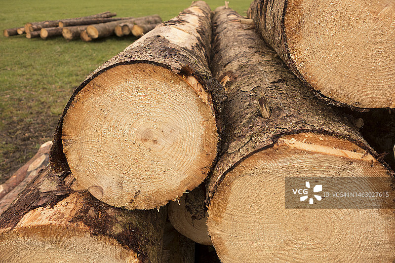 冬季取暖木柴堆图片素材