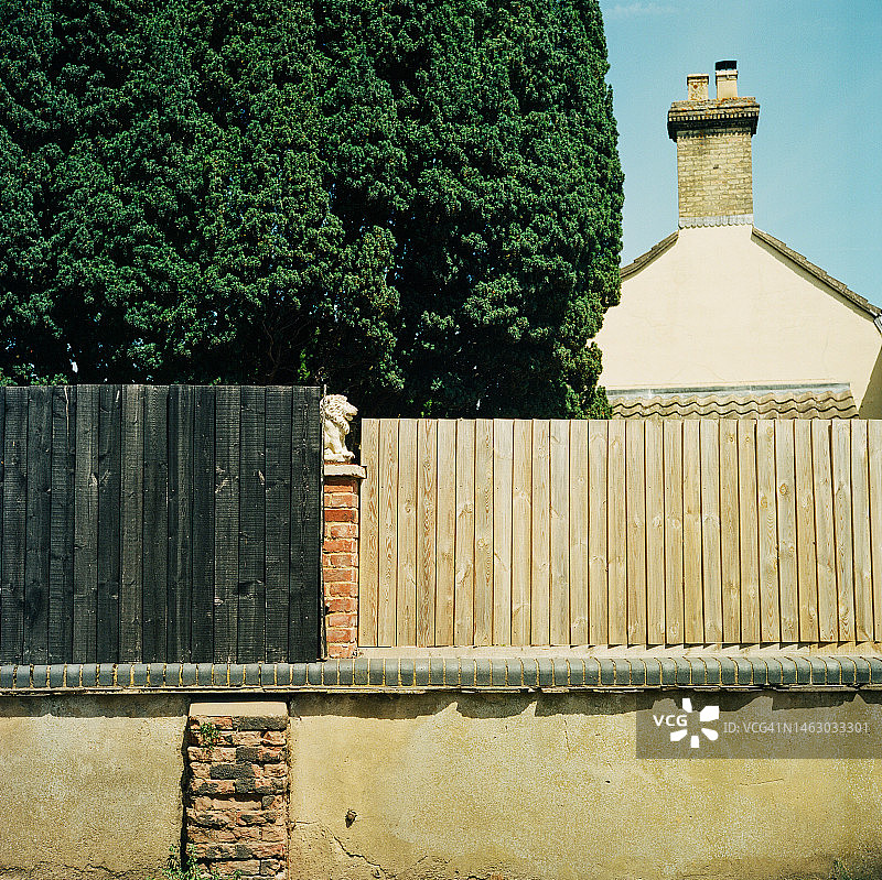 夏日细节图片素材