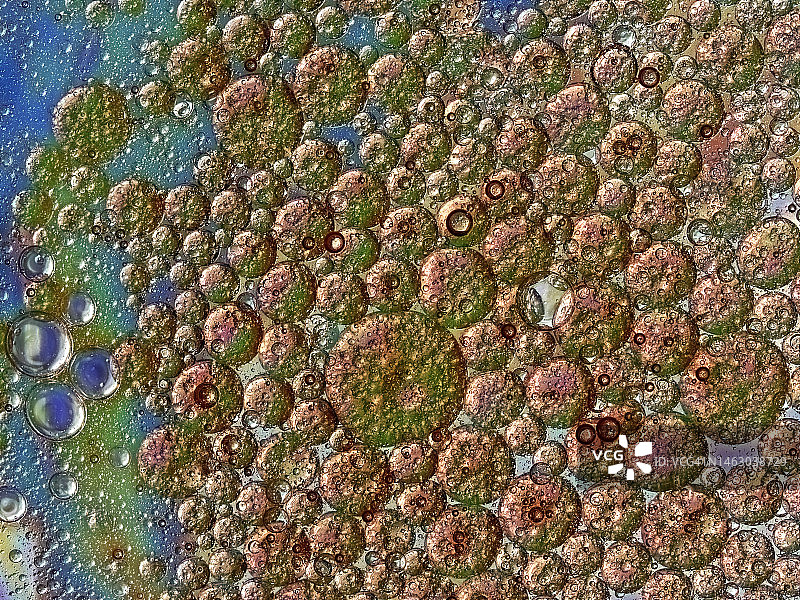 金属液体上气泡和水滴形成的抽象形状和纹理图片素材