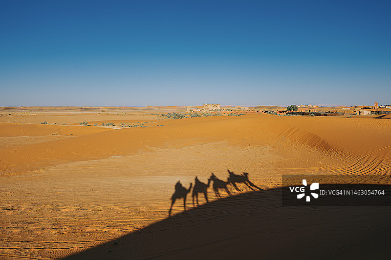 日落时分，亚洲游客在导游带领下骑着骆驼穿越摩洛哥撒哈拉沙漠的阴影图片素材