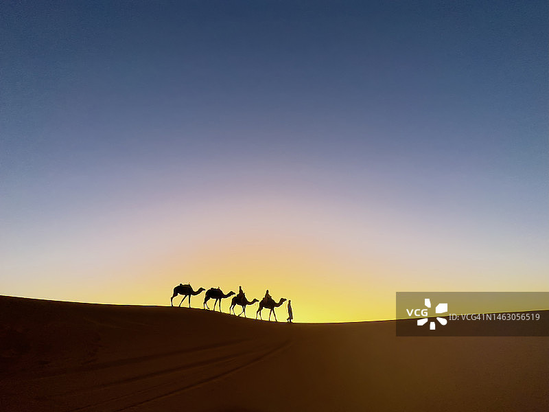 日落时分，导游带领游客在撒哈拉沙漠的骆驼列车上剪影图片素材