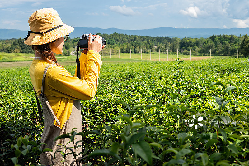快乐的亚洲游客在泰国清莱府的茶园里拍摄茶叶照片图片素材