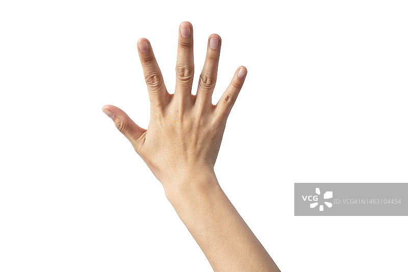 保养良好的女人手，手指张开，隔离在白色背景上图片素材