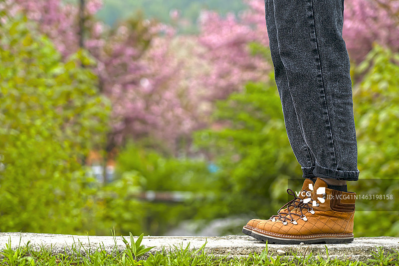 樱花背景下的鞋子图片素材
