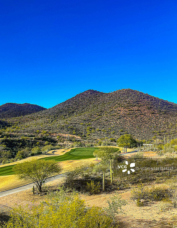 阳光下的仙人掌、树木、高尔夫球场和图森斯塔尔帕斯山顶图片素材