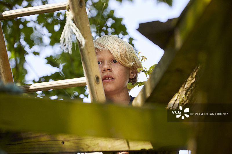 在自然中爬木梯的男孩图片素材