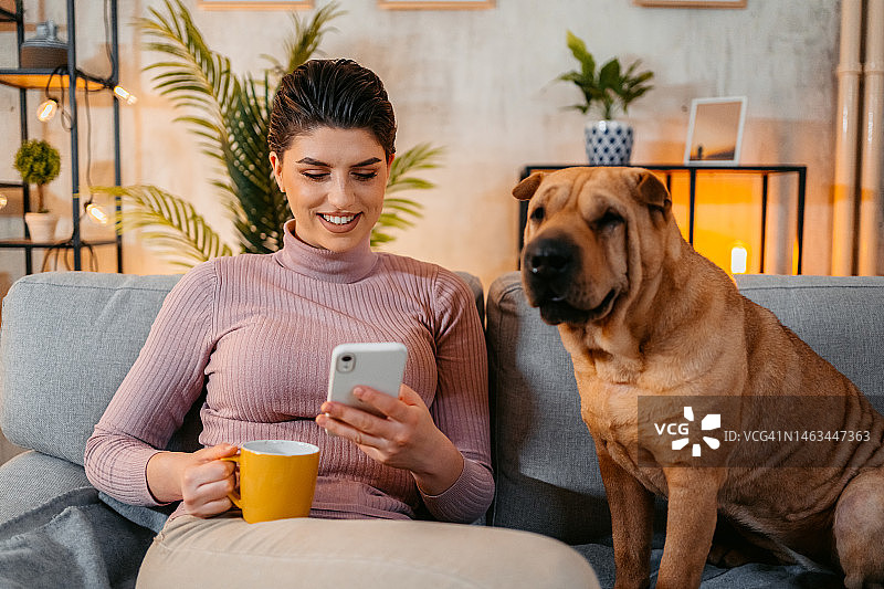 带着狗在手机上查看社交媒体的年轻女人图片素材