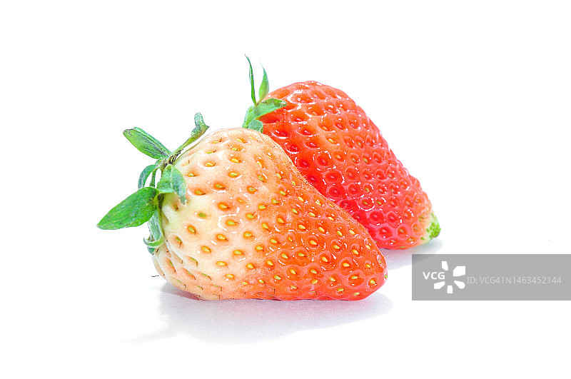 白色背景下的成熟草莓图片素材