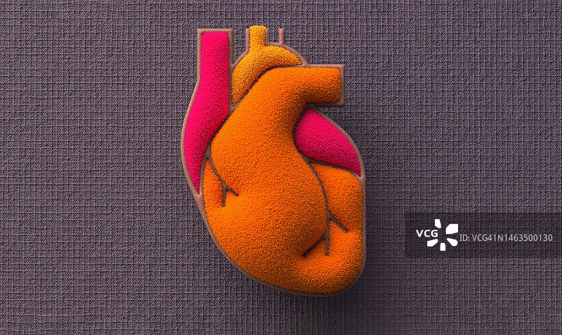心脏和冠状动脉图片素材