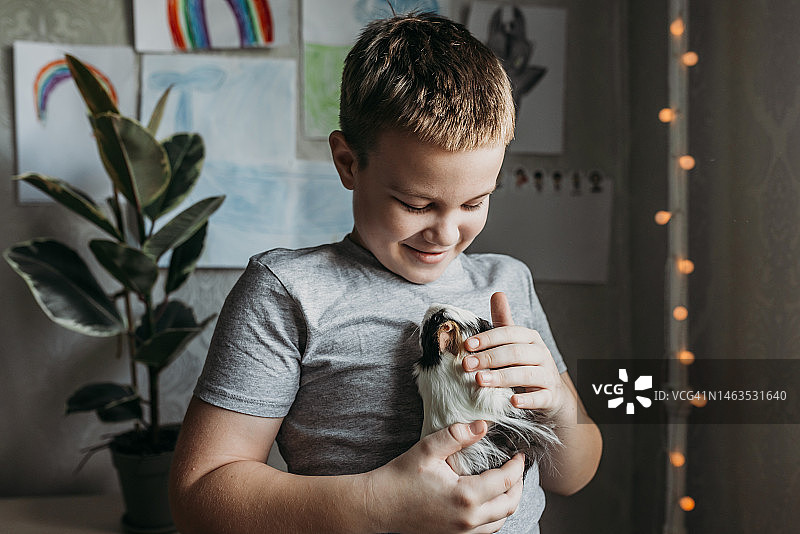 男孩双手捧着宠物豚鼠图片素材