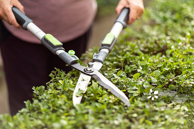 人手持园艺剪刀特写图片素材
