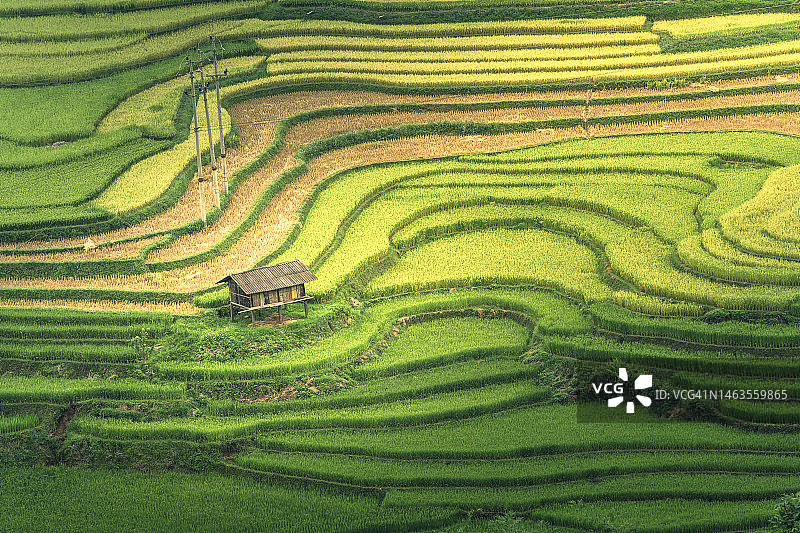 越南北部美丽的绿色梯田图片素材