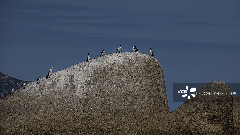 澳大利亚维多利亚州南吉普斯兰威尔逊岬国家公园图片素材