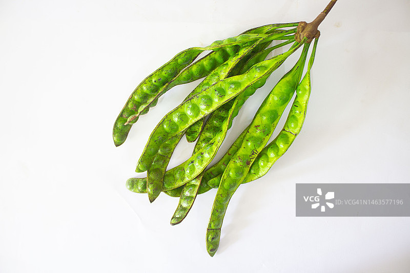 臭豆，扭曲的豆荚，臭豆，苦豆， Parkia speciosa种子，与白色背景隔离，Giurgiu，罗马尼亚图片素材