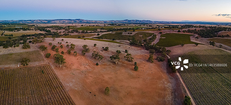 澳大利亚南巴罗莎谷秋日葡萄园风光，2022年图片素材