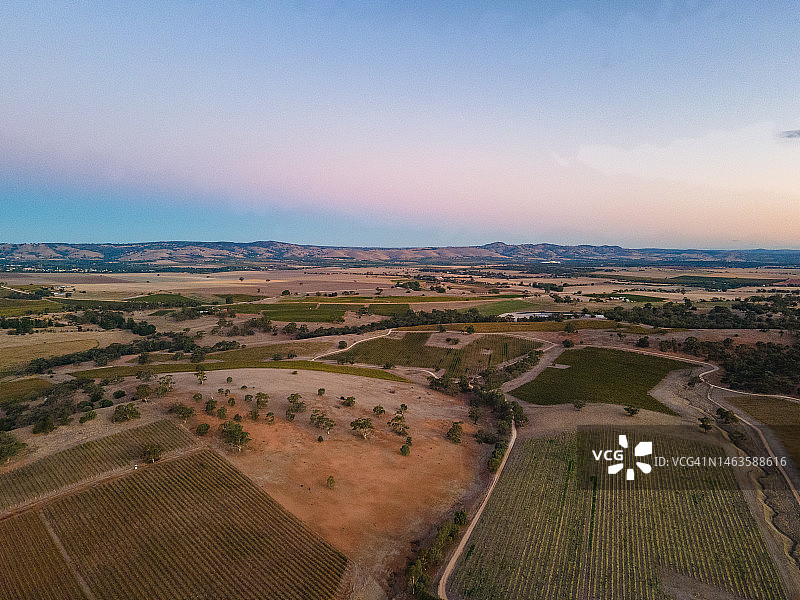澳大利亚南巴罗莎谷秋日葡萄园风光，2022年图片素材