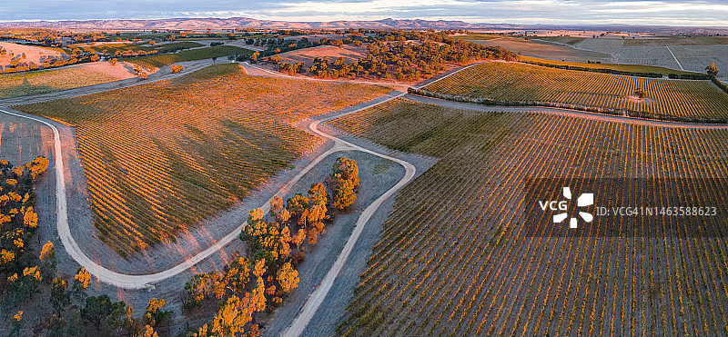 澳大利亚南巴罗莎谷秋日葡萄园风光，2022年图片素材
