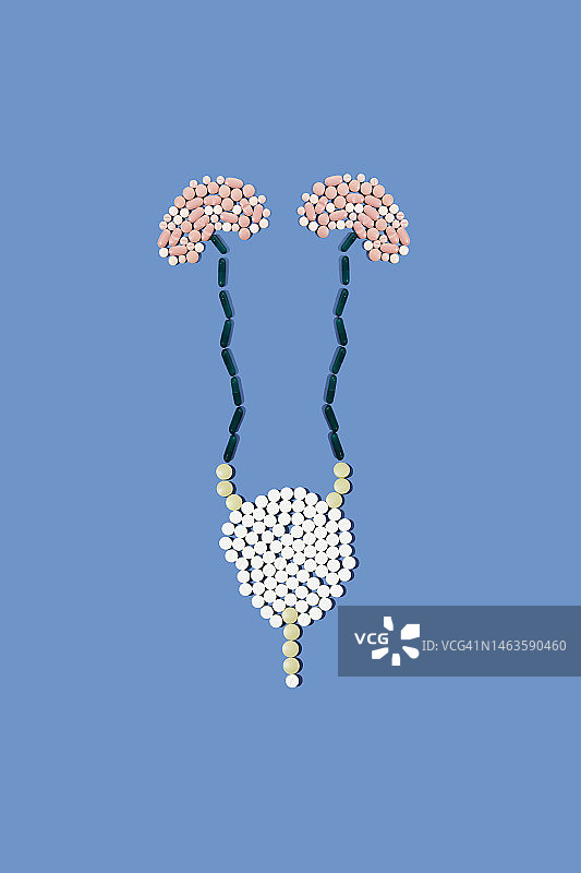 蓝色背景上的人体肾脏和膀胱泌尿系统形状的药丸图片素材