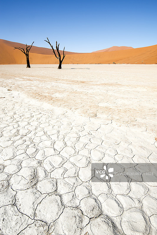 在海滩上图片素材