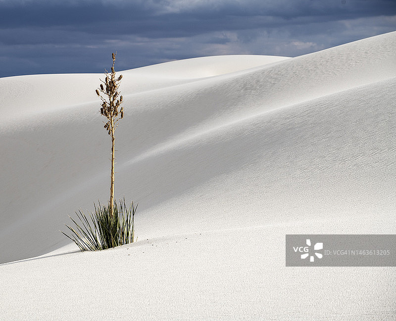 傲然挺立图片素材