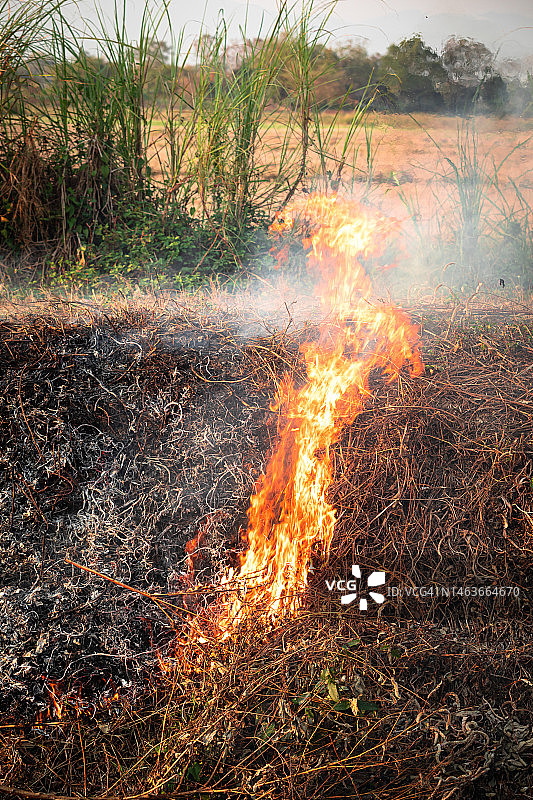 草地上燃烧的火焰图片素材