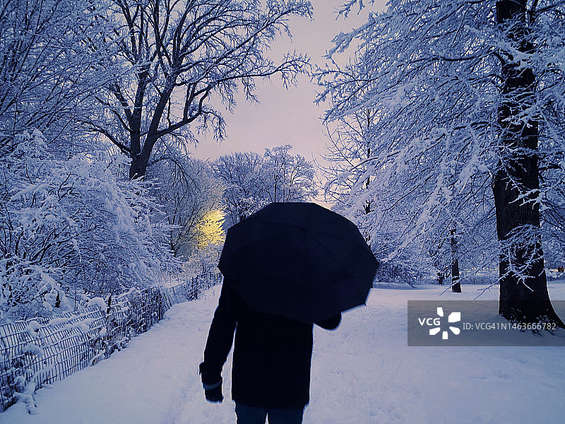 在纽约市中央公园北林区日落时分的薄雪中撑伞行走的人图片素材