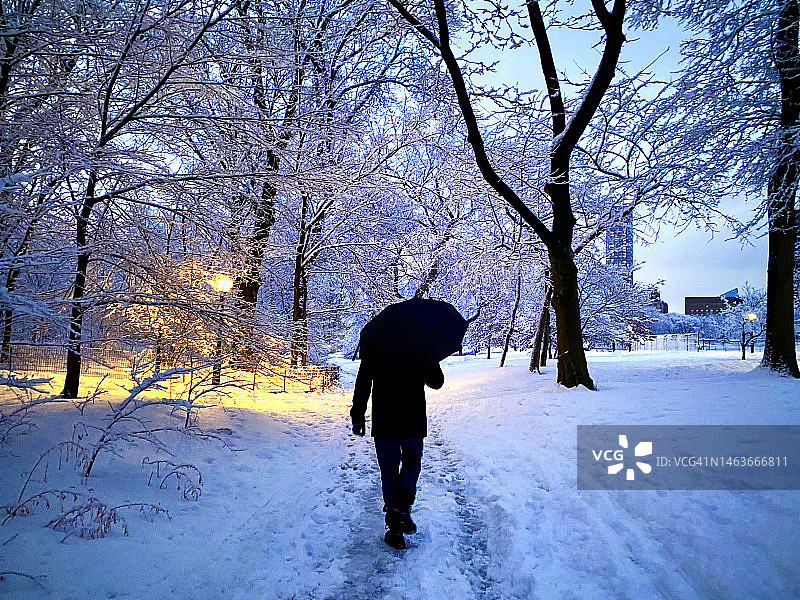 在纽约市中央公园北林区日落时分的薄雪中撑伞行走的人图片素材
