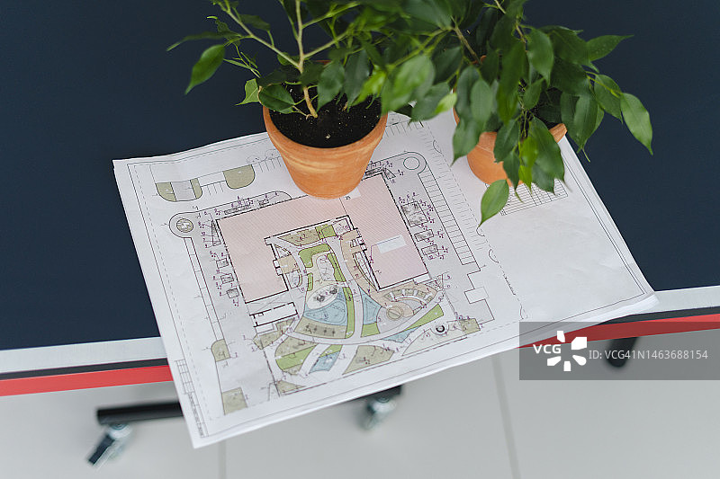 园林规划中的盆栽植物图片素材