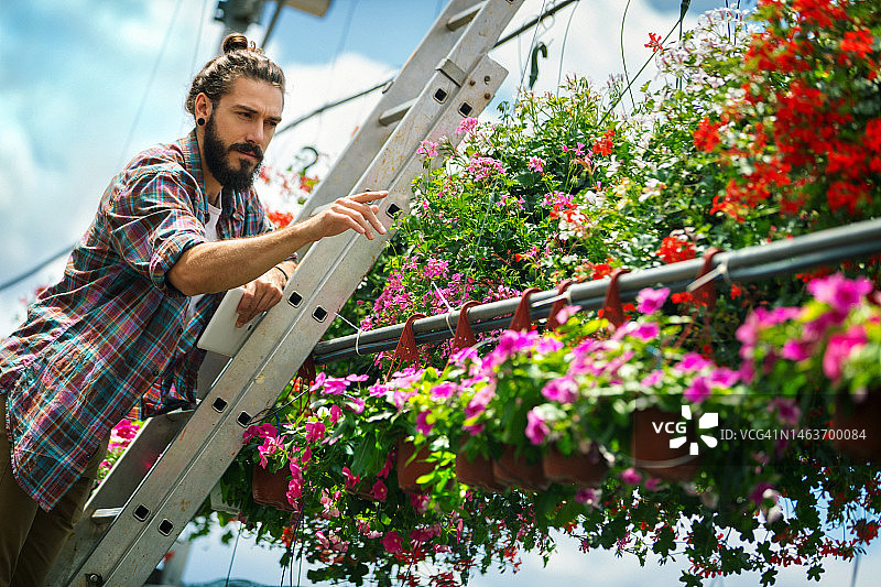 生物学家在花卉温室工作图片素材