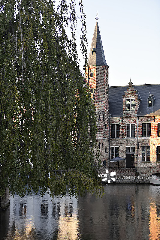 比利时西弗兰德斯布鲁日，前景是柳树的城市河流和背景中的尖塔图片素材