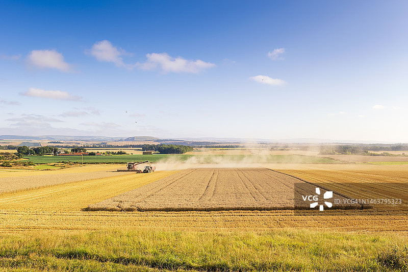 联合收割机和拖拉机收割麦田图片素材