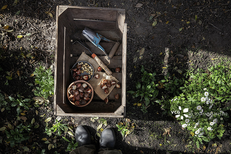 装有园艺设备和各种植物球茎的木箱图片素材