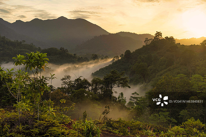 晨光中的山地草甸图片素材