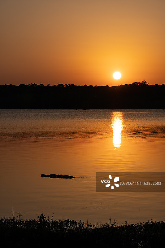 美国密西西比州橙色天空下的湖泊风光图片素材