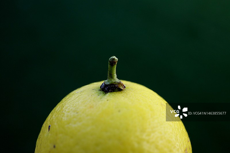 桌上的水果特写图片素材