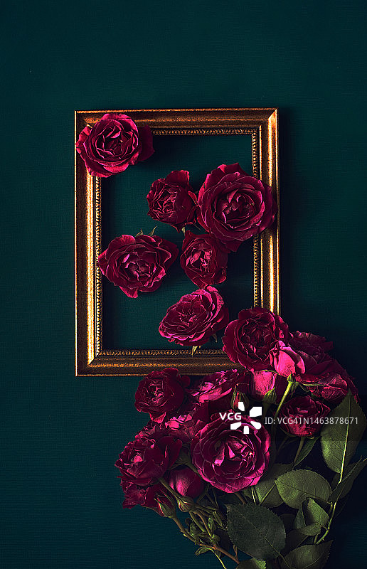 玫瑰与相框图片素材