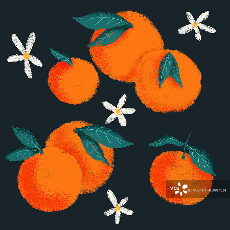 深蓝色背景上的橘子和白色花朵图案数字插画图片素材