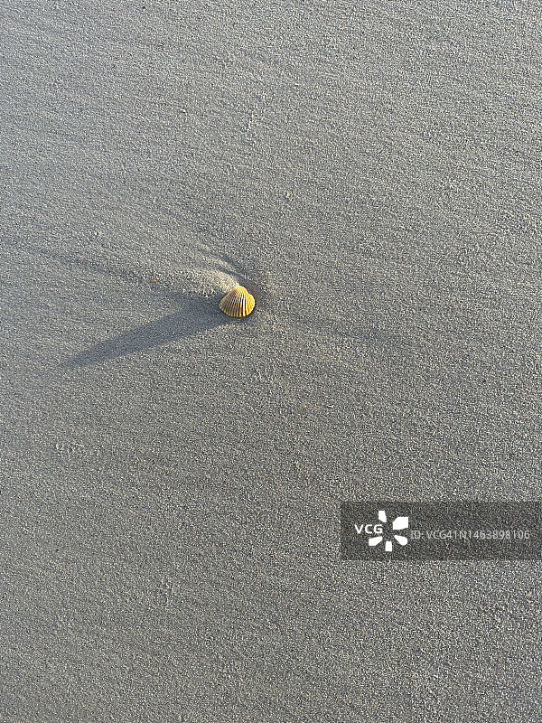 阳光明媚的海滩、大海和天空图片素材