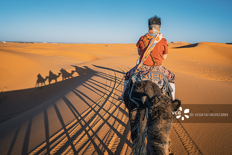在摩洛哥撒哈拉沙漠日落时行进的中国游客骆驼队图片素材