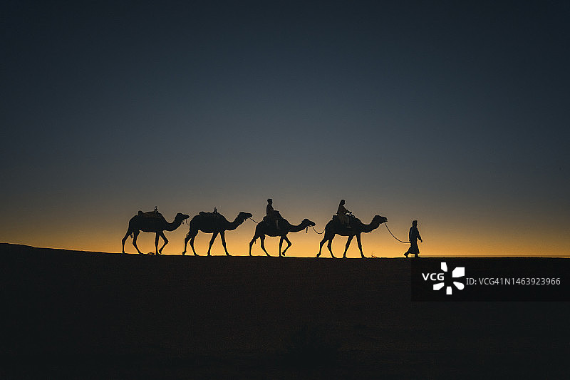 夕阳下，导游带领的撒哈拉沙漠骆驼队上的游客剪影图片素材